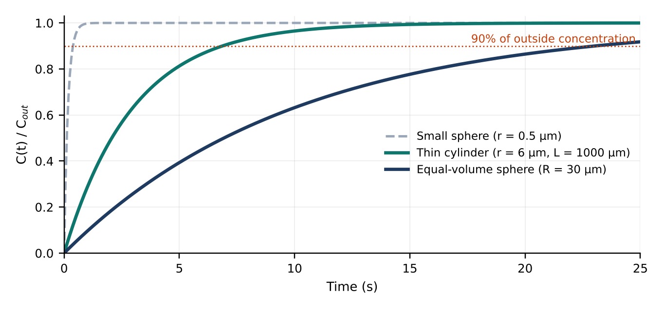 Concentration curves from the nutrient uptake maths project